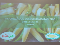 VII. Országos Zöldséghajtatási Nap. 2020. október 16.